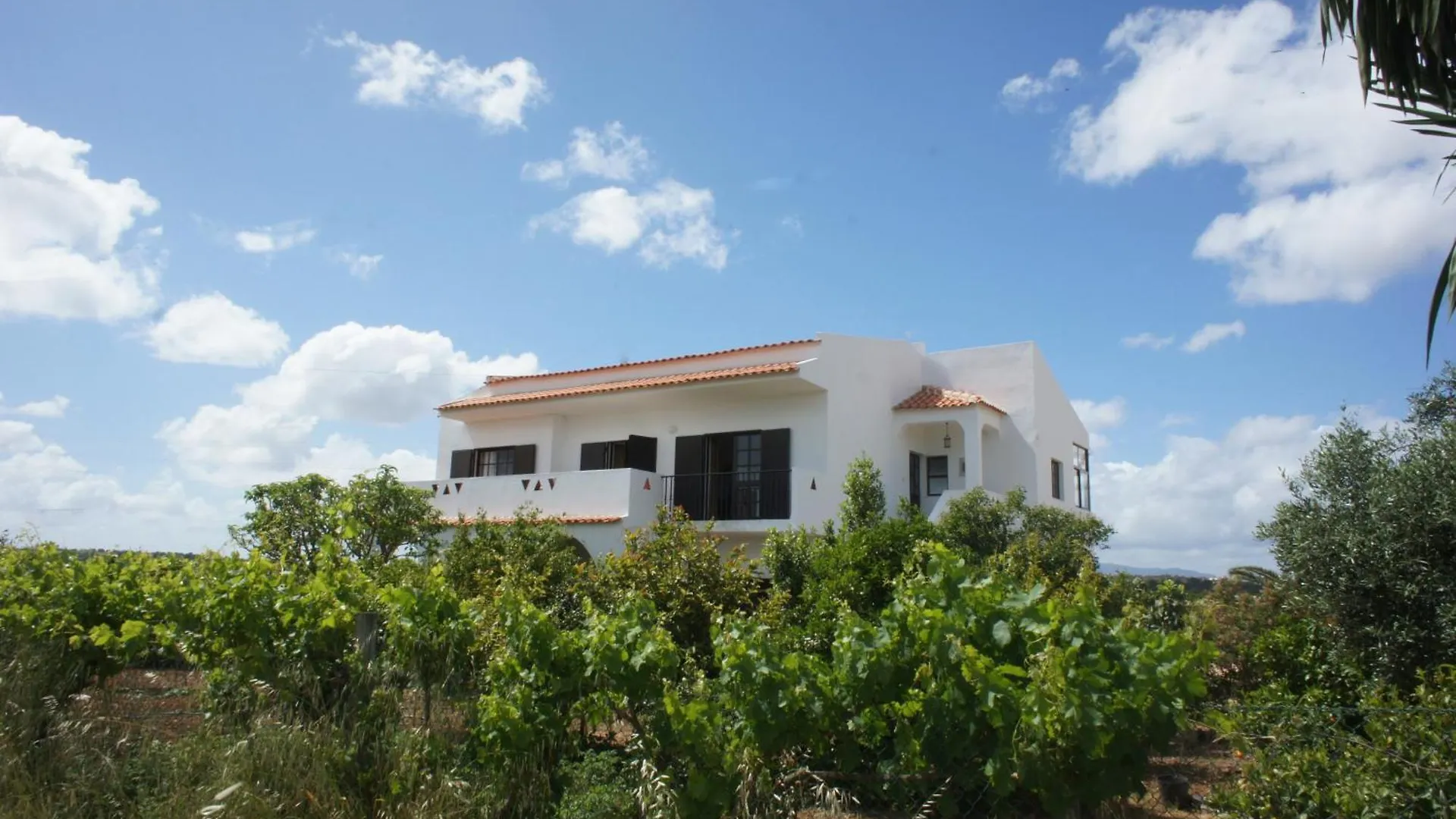 A Spacious 3 Bedroom Apartment In Casa Melia location